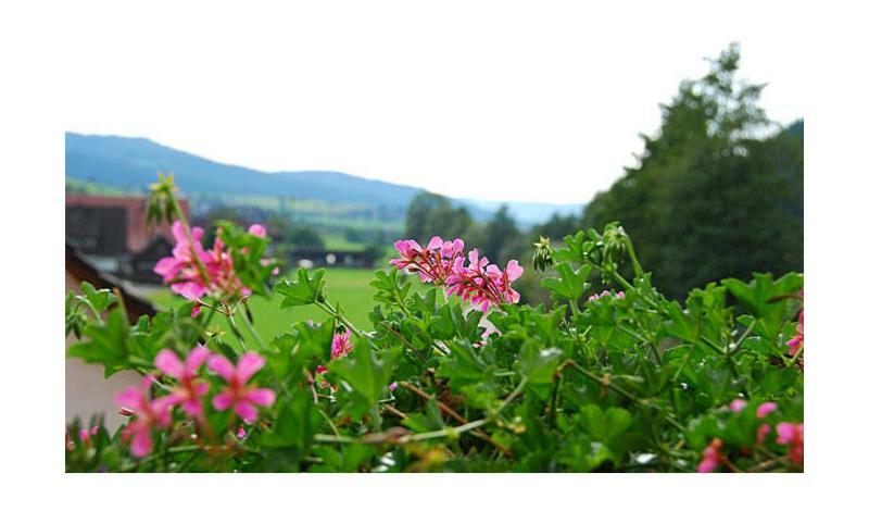 Pension Haus Rose Oberharmersbach Exteriér fotografie